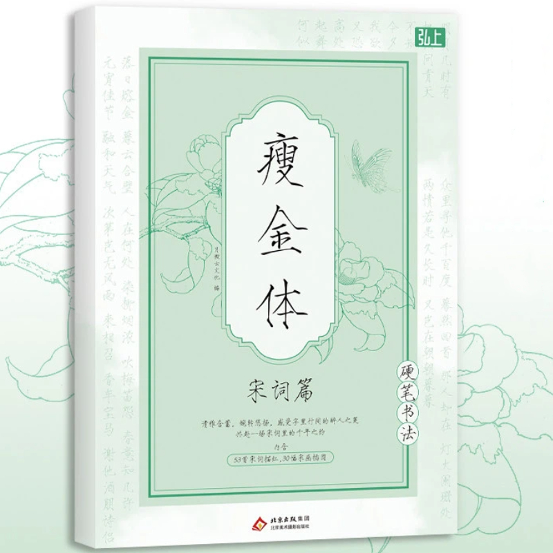 중국 서예서 송희종 슬렌더 골드 스크립트 서예 카피북  - Chinese Calligraphy Practice Book 리뷰 및 가격